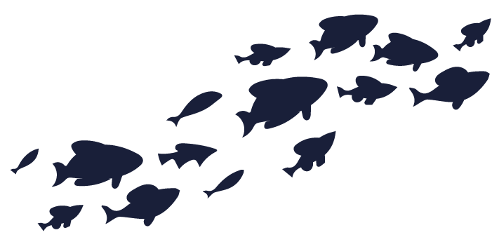 fishesFAQ